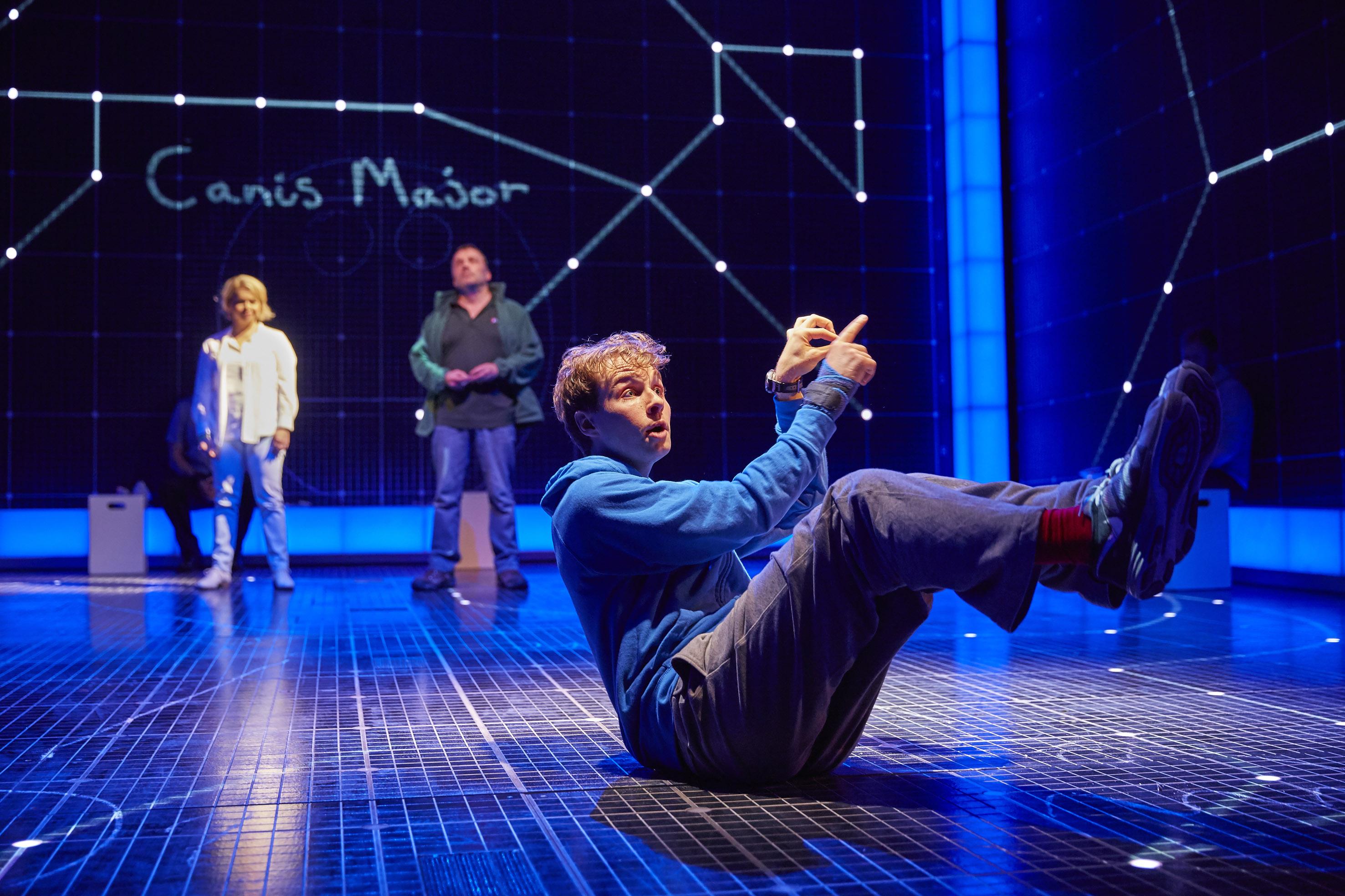 The Curious Incident of the Dog in the Night-Time review